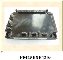 PM25RSB120